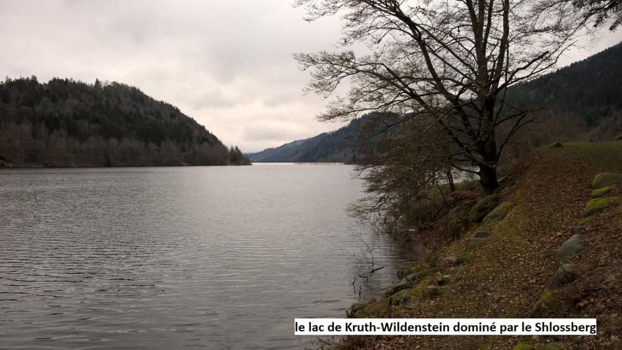 Le Chalet Bel Air Oderen Kültér fotó